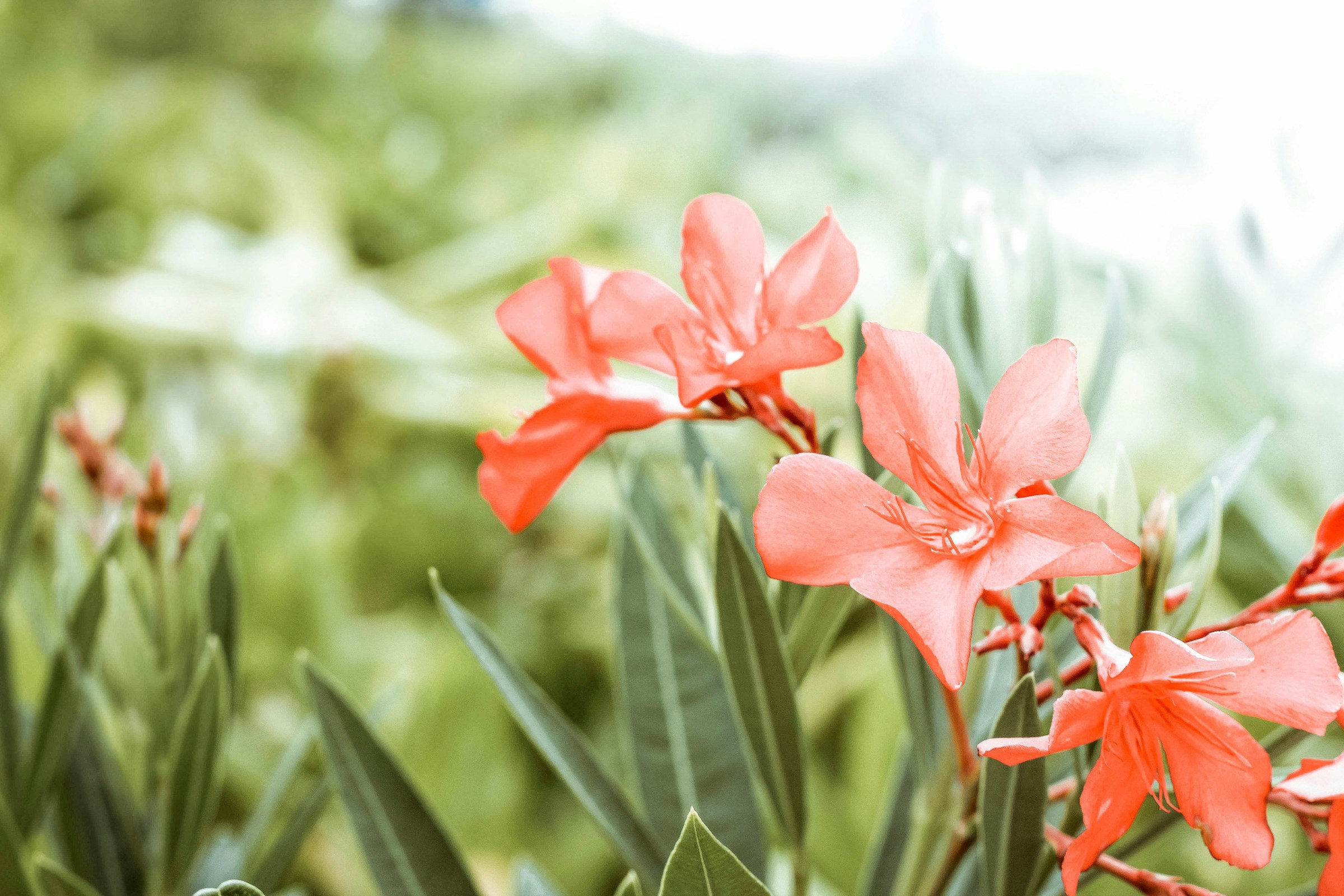 Beautiful details on a personalised wedding website